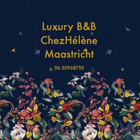 Chez Helene Luxury Bnb Maastricht Kültér fotó