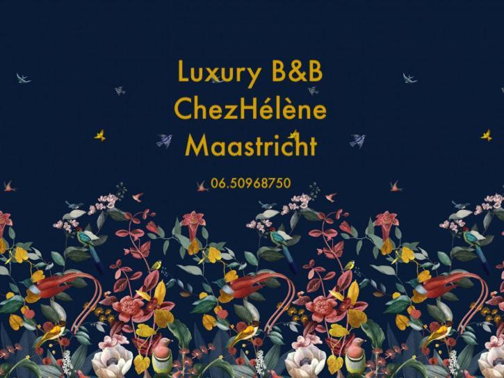 Chez Helene Luxury Bnb Maastricht Kültér fotó